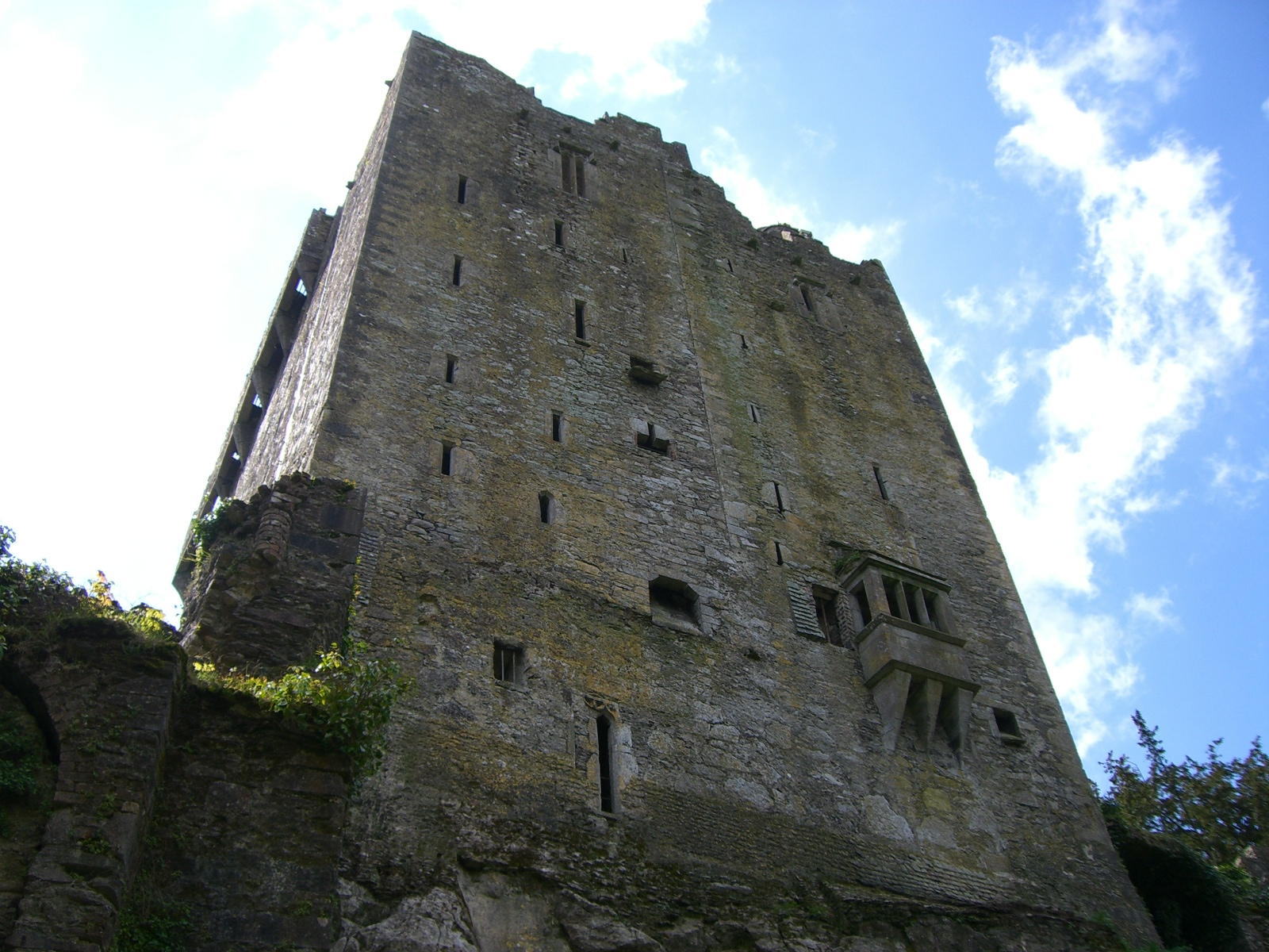 Blarney Castle face