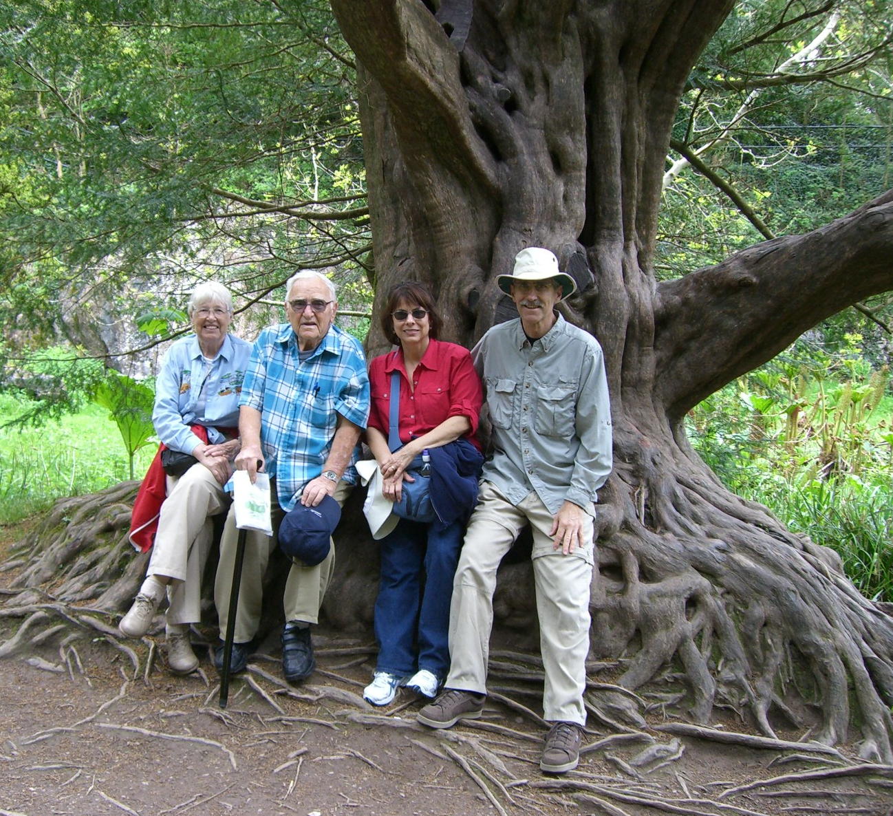 Gen, Ellie, Anita, Mike sit on tree roots